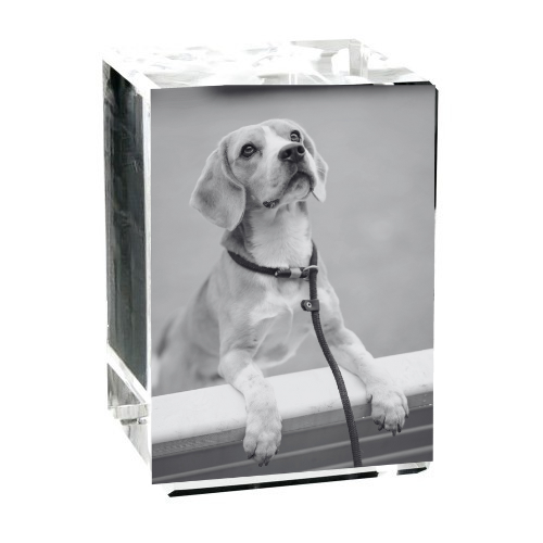 2D oder 3D Glasblock Foto als Portrait
